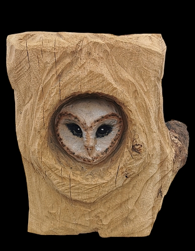 scheiereule barn owl eule holz motors�ge kettens�ge schnitzen kettes�genkunst motors�genkunst holzwerker